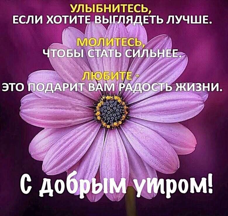 Оксана Кислушко | #утро#настроение#жизнь#мудрость#длядуши