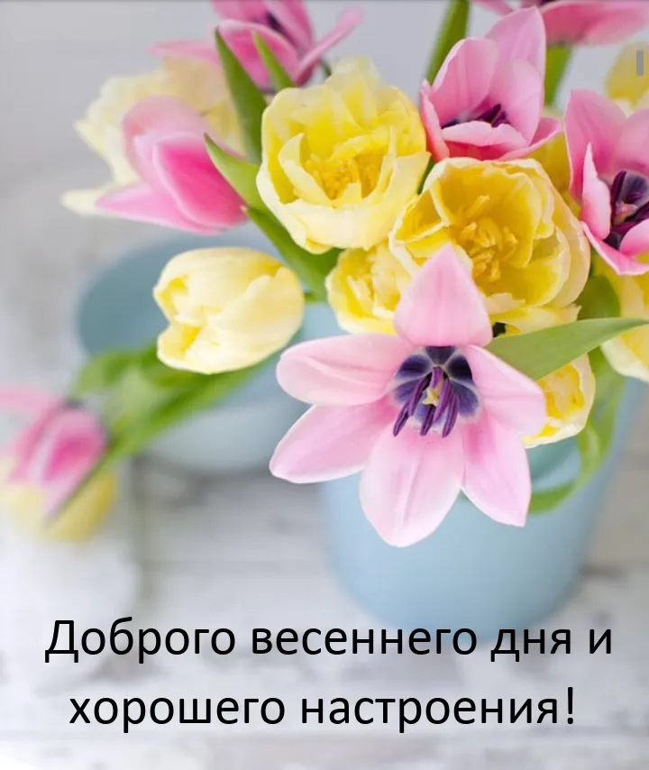 🌸✨☕ Красивые картинки 