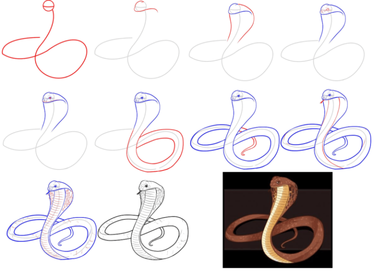 How to draw a snake 3D