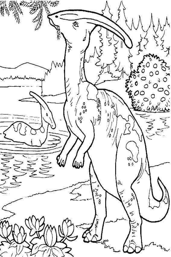 Diplodocid Sauropod Dinosaur PNG