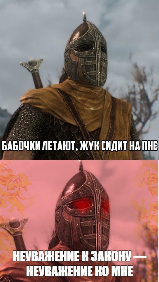 Skyrim #TES #TheElderScrolls | Скайрим мемы|юмор|приколы