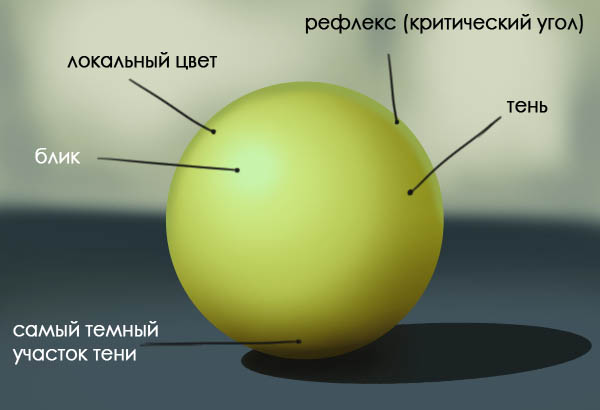 Объем в рисунке и живописи – законы и правила трехмерного