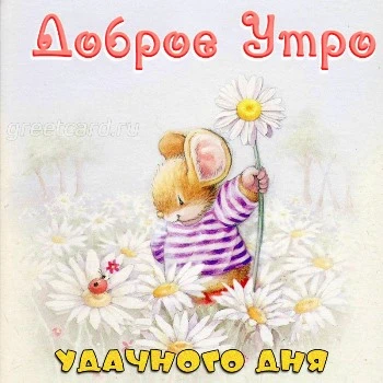 🌸✨🌸 С ДОБРЫМ МАРТОВСКИМ УТРОМ 🌸✨🌸 Я проснулась сегодня