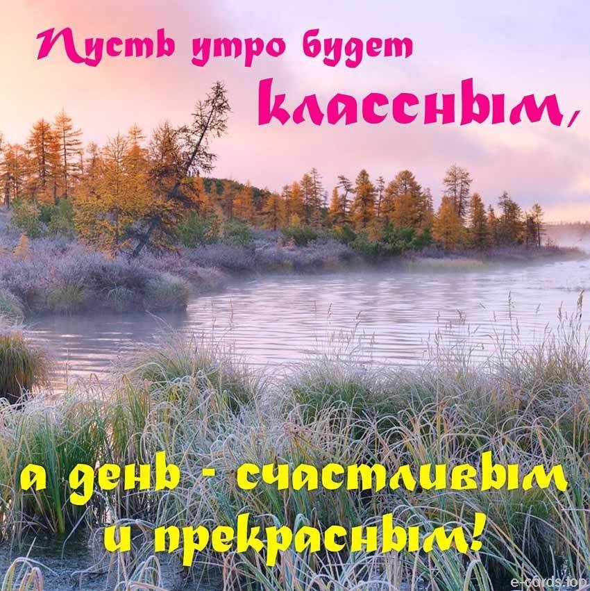 Картинки