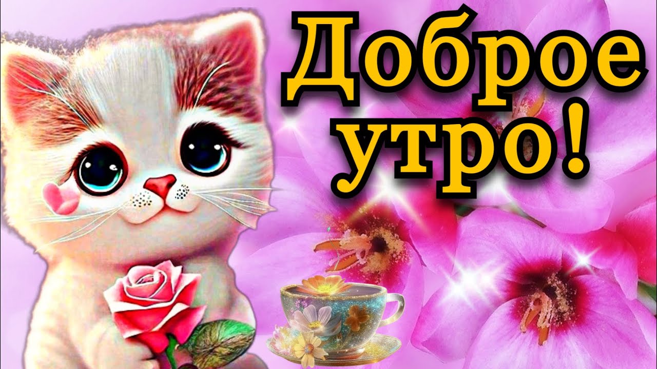 Цитаты о утро | Цитаты известных личностей