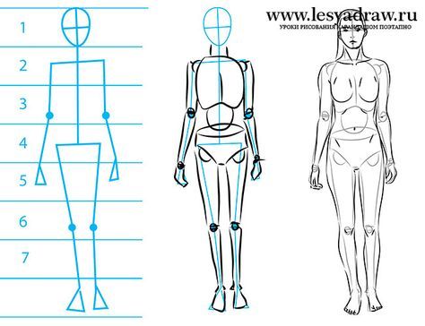 Рисование фигуры человека поэтапно