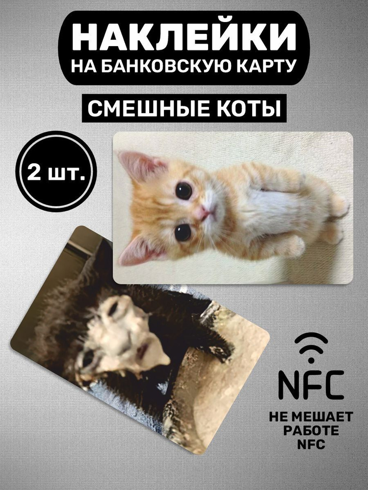 Смешные коты