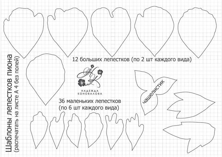 Раскраски Раскраска Контур шести лепестков Контуры цветка для