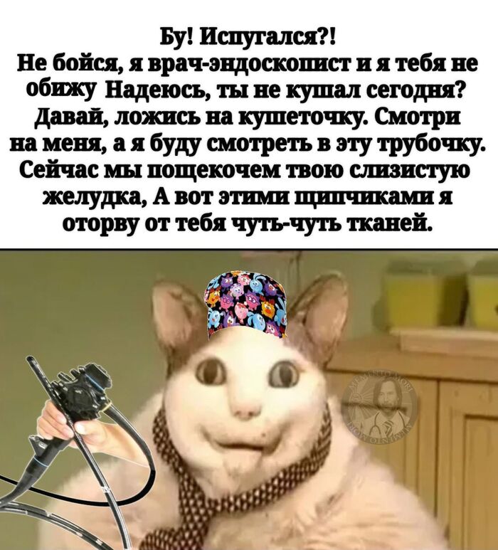 Юмор