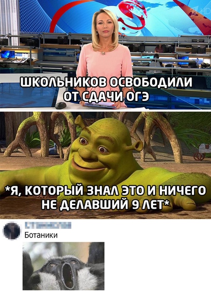 Комикс мем: 