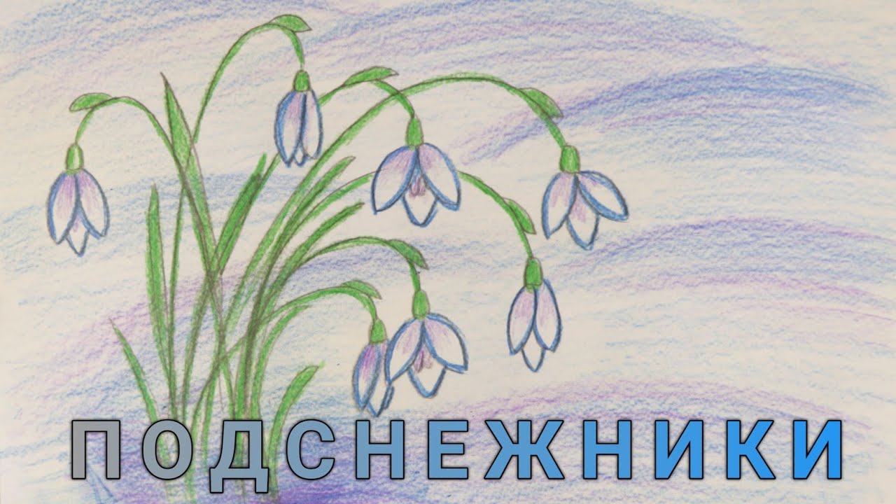 to draw snowdrops