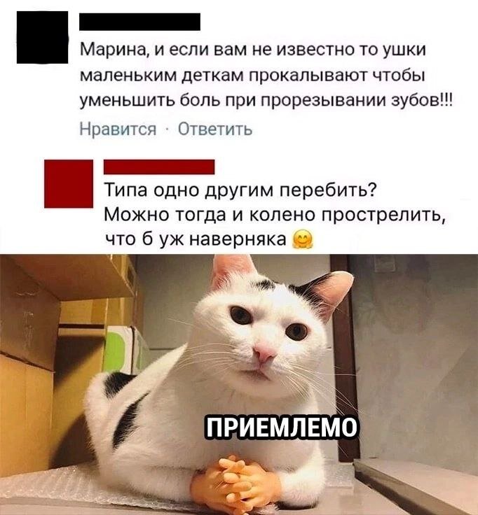 😵 | Даша путешественница, Мемы, Детский сад