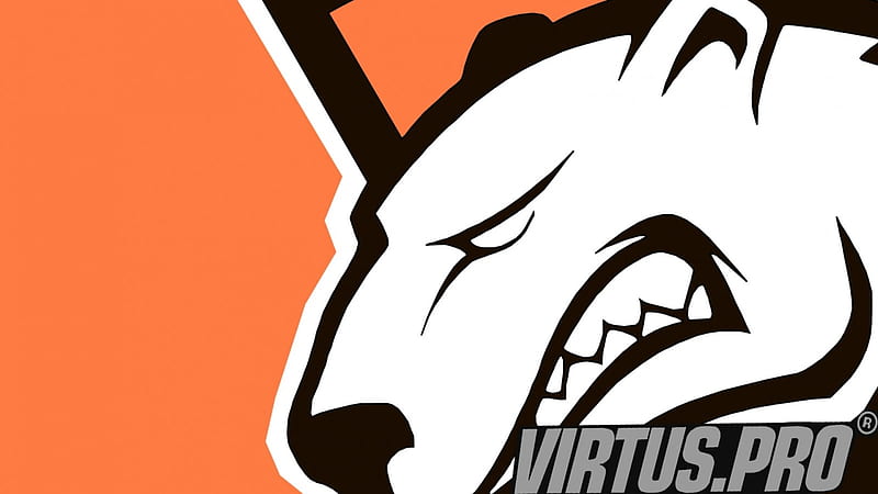 HD wallpaper: Virtus Pro | Wallpaper Flare