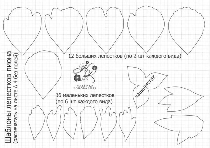 Трафарет лепестка для вырезания 