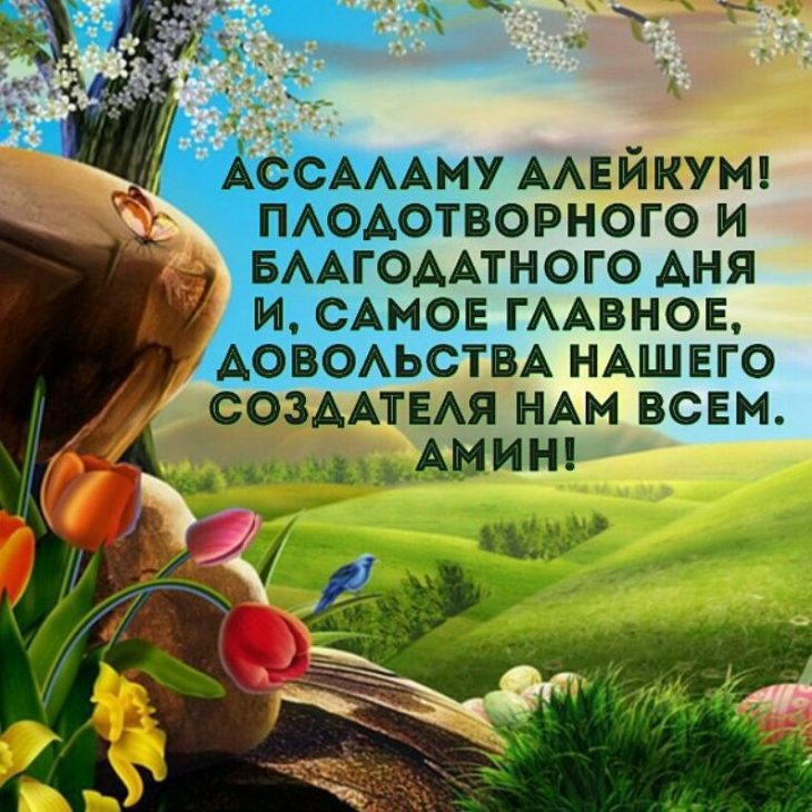 😃 Доброе утро