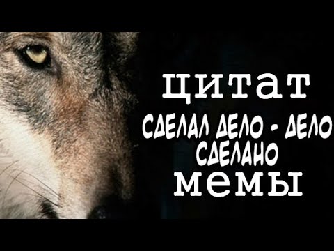 Мемы Про волка и собаку