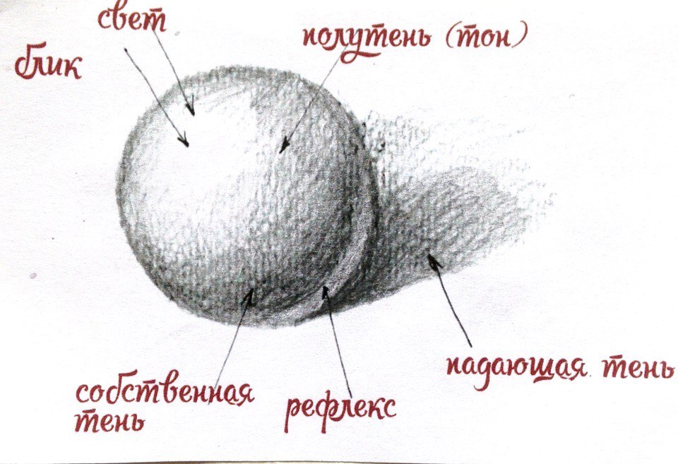 7 принципов рисования, которые помогут добиться