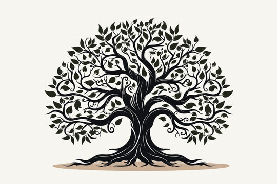 Fruit Tree Vector Images 