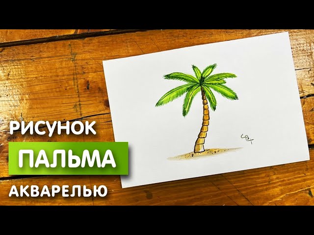 Как нарисовать пальму поэтапно 3 урока