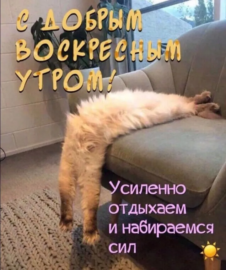 Открытки 