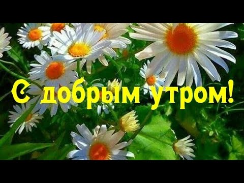 Открытки с добрым утром весна