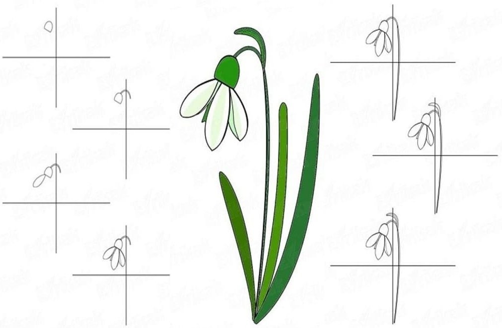 Рисование подснежников в старшей
