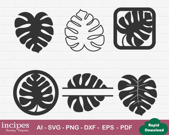 Monstera garden logo template universal