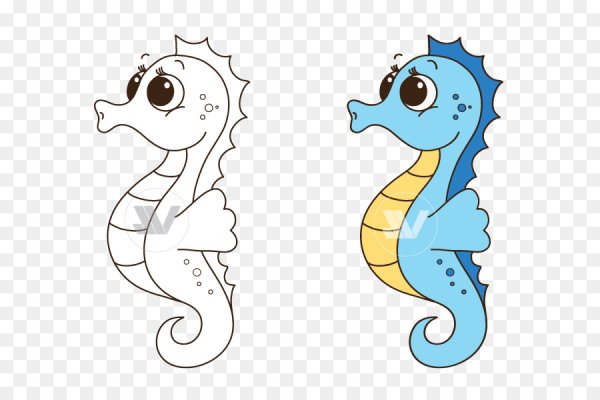 How to Draw a Seahorse / Как нарисовать морского конька