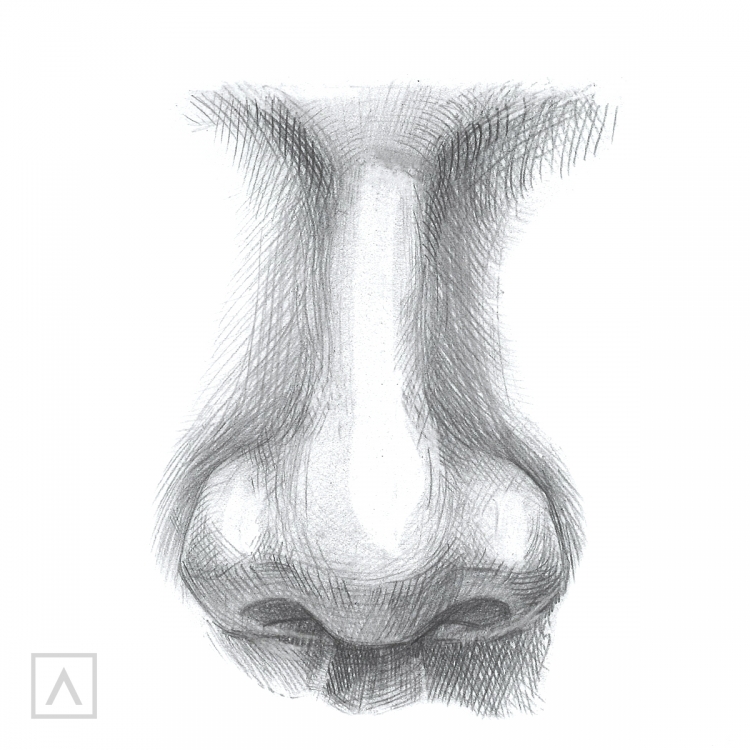 How to draw a nose. Как рисовать НОС