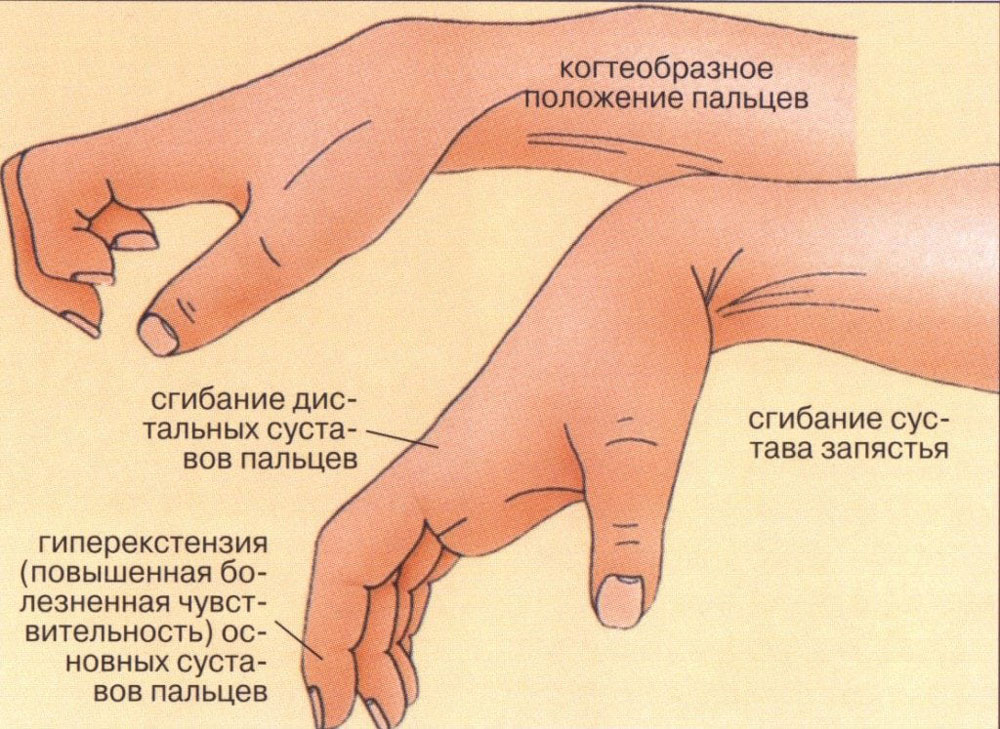 Справочник благотворительного фонда «Дети