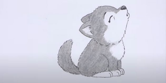 to draw a wolf