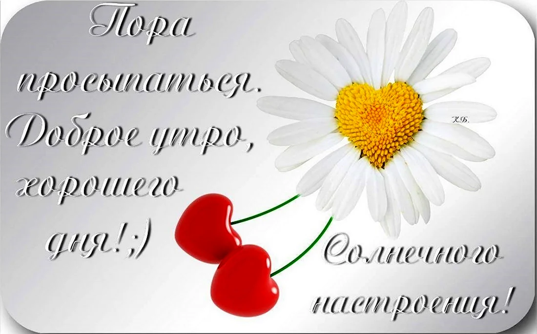 Юлия | #доброеутро#утро#всемдобра#радость#нежность#настроение