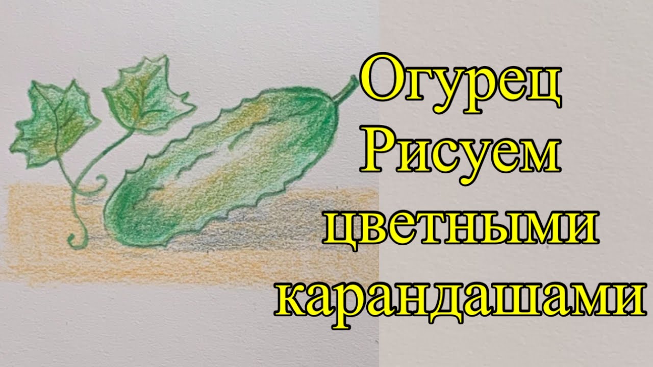 Огурец ИЗЯЩНЫЙ. Огурец. Семена овощей. Интернет