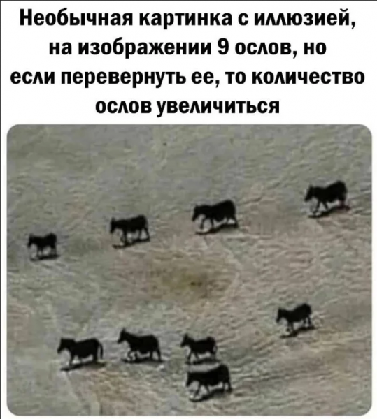 WWFASH лучшая забавная математическая шутка для учителя Юмор