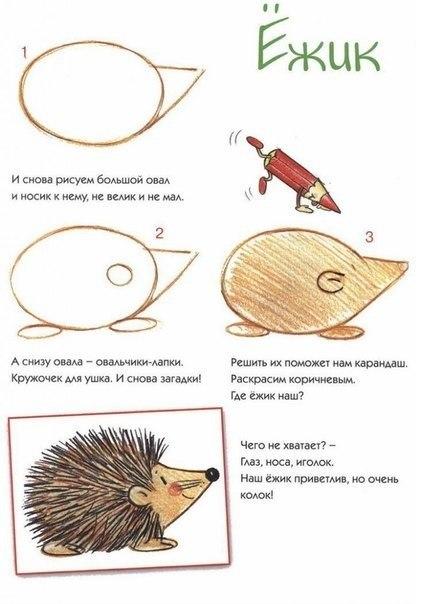 Как нарисовать ёжика. How to draw a hedgehog