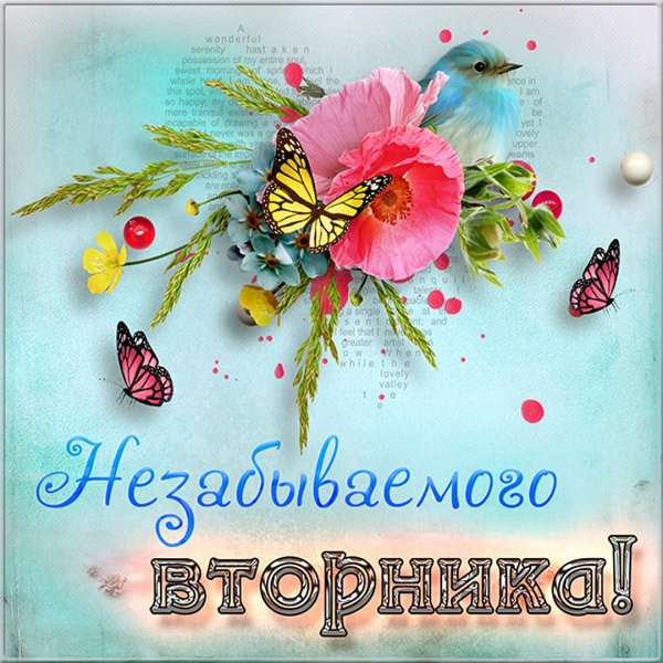 Вторник Приколы Доброе Утро | TikTok