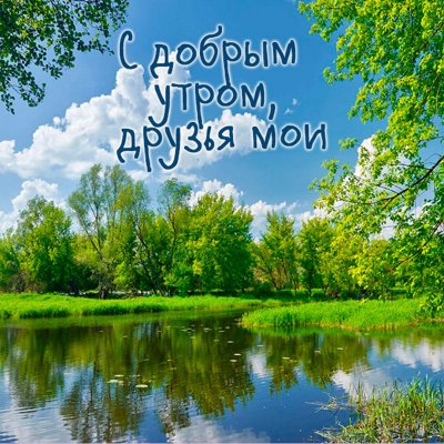 Видеооткрытка Доброе утро! С Добрым