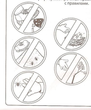 Картинки экологические знаки для детей окружающий мир 