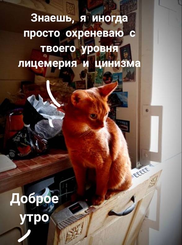 💝🐺 ЛЮБИМАЯ ВОЛЧИЦА 21+🐺💝 | Facebook