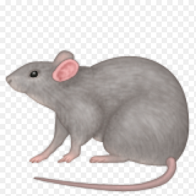 🐁