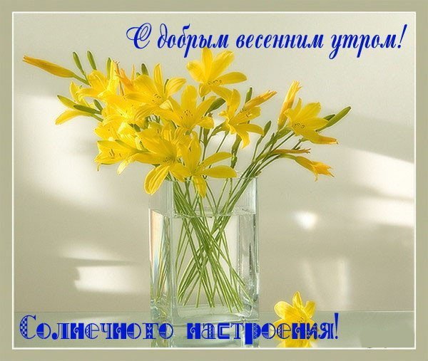 Доброго мартовского утра💛 Прекрасного настроения💖