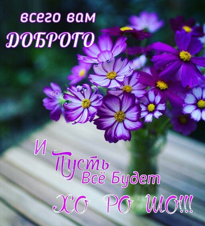 Доброе утро! 🌸 Счастливой вам Весны! 🌺 С Добрым весенним