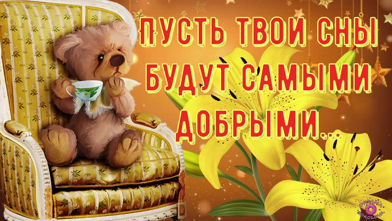 До скорой встречи! Доброй ночи!