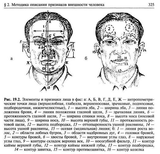 Трафареты лицо мужчины для детей