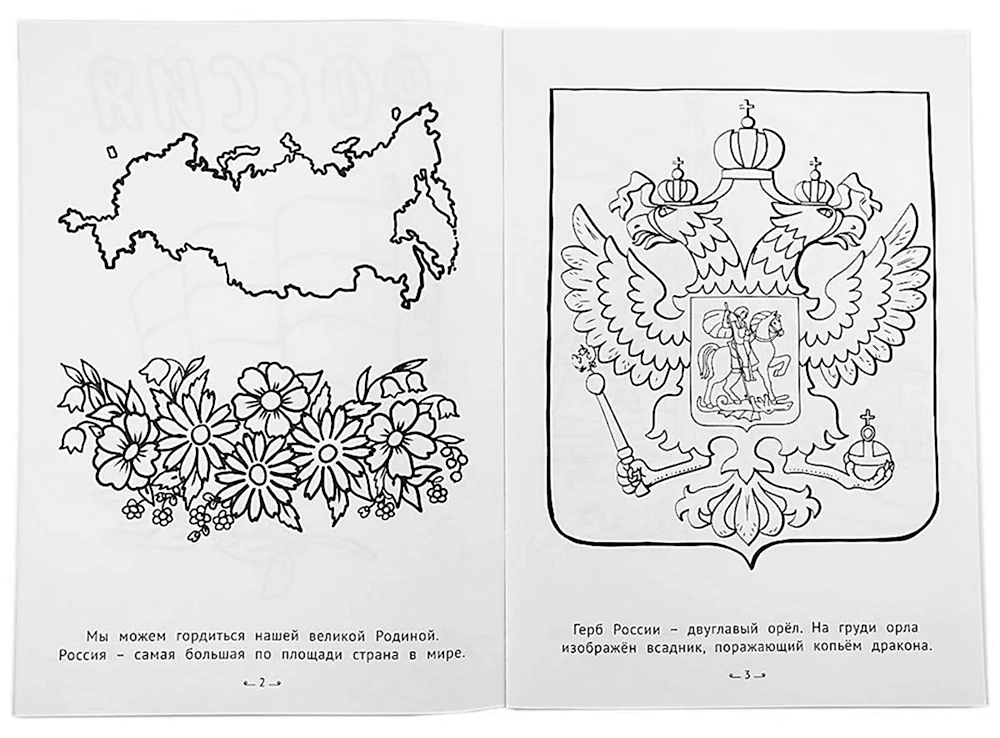 Конспект по теме 