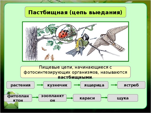 Как проанализировать рисунок 