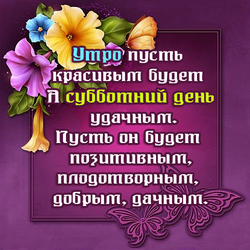 Прикольные пожелания к субботе — 51 шт | Красивые открытки и