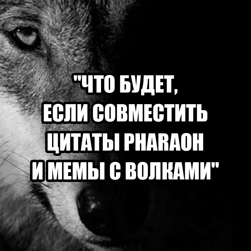 Создать мем «волки идут по снегу, ведет за собой стаю» онлайн