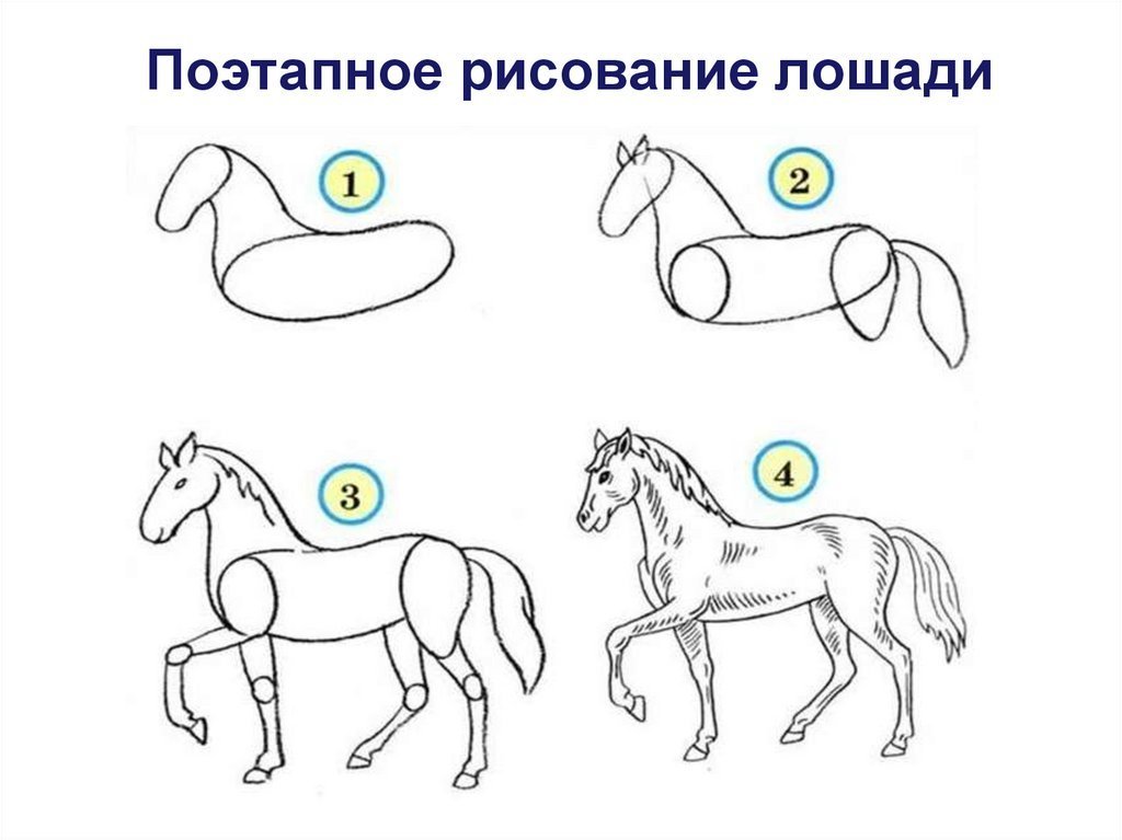 Как нарисовать лошадь поэтапно | Рисунок лошади карандашом