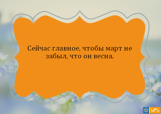 Прикольные статусы про женщин – Статусы